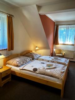 Horský Hotel Sněženka - Hynčice pod Sušinou - 4