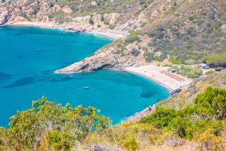 Fattoria delle Ripalte - Capoliveri - 1