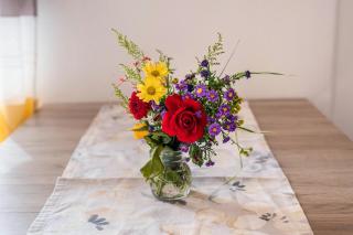 Oberpatiglhof - Lukas - 7