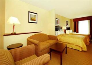 Comfort Suites Fairview Heights Saint Louis - 4