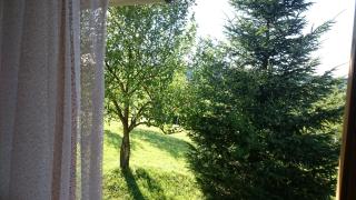 Rustic home Mia - Duga Resa - 1