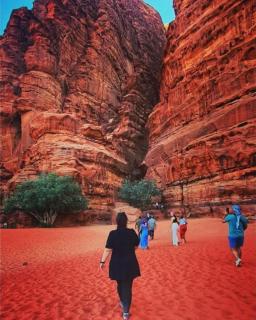 Desert Magic Camp - 0