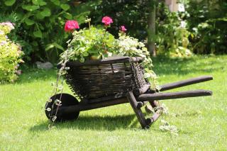 AQUARIUS Eco-Hotel-Grill-Restaurant - Lviv - 3