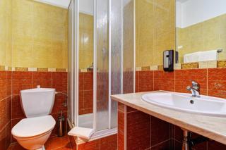 Hotel Adler - Budweis - 8