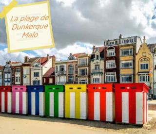 Le Petit Paradis de Noordpeene - Noordpeene - 5