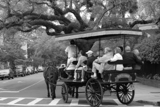 Whale of a Time - Isle of Palms - 8