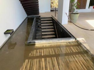 Las Palmeras - 6