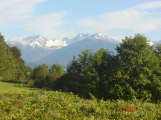 Gite Arthur et Germaine Maisonnette à la campagne avec un grand jardin - Saint-Jeoire-Prieuré - 1