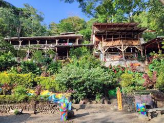 Hostel Plinio - Manuel Antonio - 6