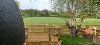 Y Nyth - The nest - Bridgend - 5