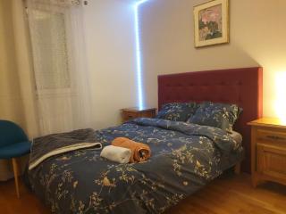 Spacieux et calme, style parisien, toutes commodités, idéal pour un séjour authentique - 9