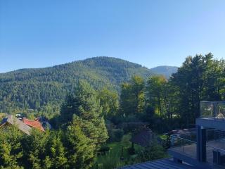 Widokowy 9 Sauna i Jacuzzi - 8