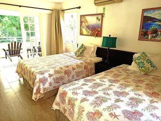 Mystic Ridge Apt 2 Plus 6 - Ocho Rios - 6