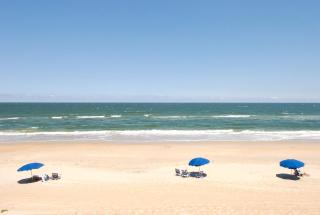 2381 - Peaceable Kingdom by the Sea by Resort Realty - Sanderling - 2