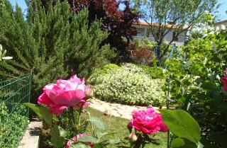 Apartment Eni - Rovinj - 2