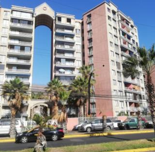 Cómodo departamento - Iquique - 0