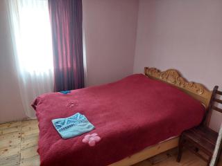 Guest House Tsasne - Omalo - 8
