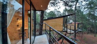 Glamping Pinochueco - 5