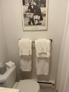 Hamptons private guest cottage - Remsenburg - 4