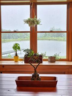 Nunda Getaway - - 7