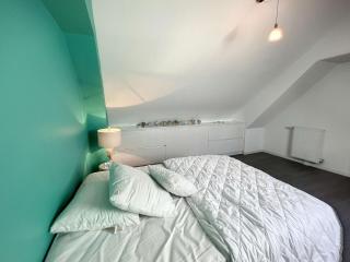 Duplex de standing en centre-ville avec parking, proche port et plage - FR-1-361-377 - Granville - 1