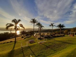 Norfolk Pines Motel - Merimbula - 0