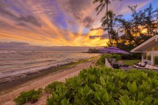 Sea Turtle Ranch home - Haleiwa - 0