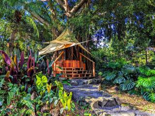 Kehena Mauka Nui Club LGBTQIA+ Clothing Optional - Pahoa - 9