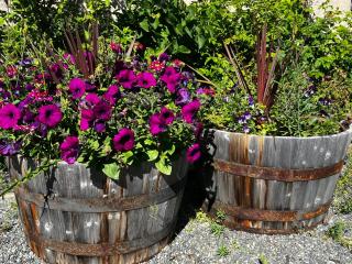 The Kenai Inn - 1