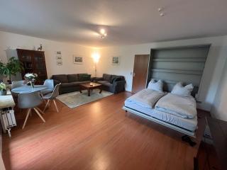 Luchsury Appartment - Bad Harzburg - 6