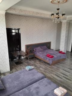 Delfin Hotel & Restaurants & Spa - Ganja - 3