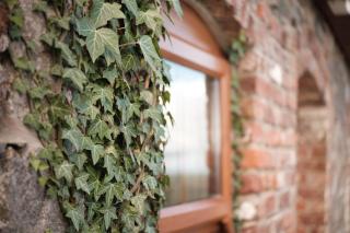 Drumnavaddy Cottage - Dromore - 4