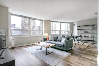 River N 2BR w Gym WD nr Magnificent Mile CHI-164 - 9