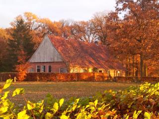 Afbeelding van de locatie