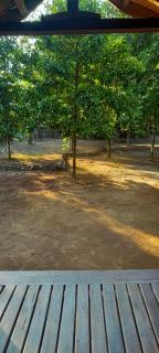 MG Guest House - Bonjeruk - 5
