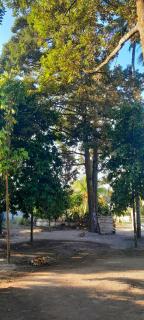MG Guest House - Bonjeruk - 2