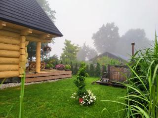 Sudecki Dym z kominkiem koło Karpacza. Agroturystyka - Janowice Wielkie - 4