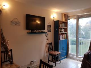 Chez Lisa & Olivier 40 min Disney 15 min Paris Orly Airport - Athis-Mons - 6