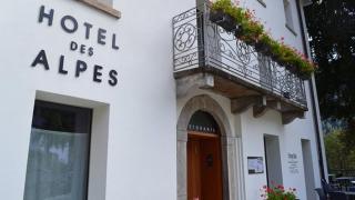 Hotel des Alpes Dalpe - 0