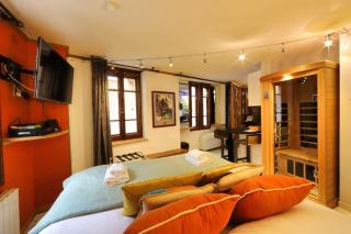 Le Cocon - Lofts & Lakes certified 4-stars - Annecy - 1