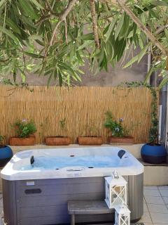 Le Cottage de Sainte Valière (Jacuzzi et terrasse ) - Sainte-Valière - 6