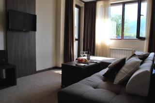 Hotel Zara - Bansko - 6