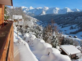 Charmant T2 avec terrasse ensoleillée, proche navette, animaux admis, parking - FR-1-467-32 - Le Grand-Bornand - 1