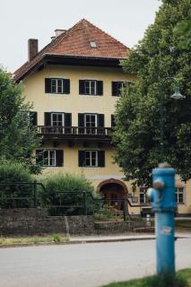 Pension Obertrum am See - 9