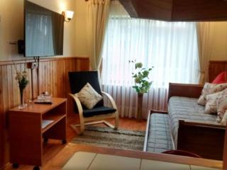 Departamento Acogedor Parque Suizo 800 Pucon - Pucón - 6