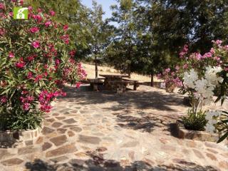 Casa das Bonecas - Farelos de Baixo - 8