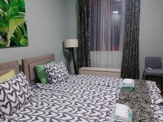 Apartman Ana - Leskovac - 3