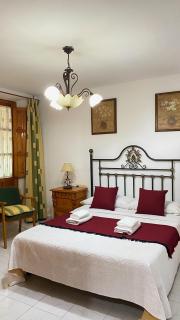 Campo del príncipe - Granada - 9