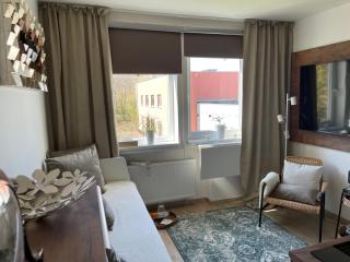 DE LUXE Apartment, WIFI, TV 65" - Prague - 6