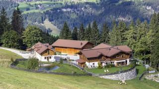 Chalet Stegerhof Premium App Reiteralm - Schladming - 9